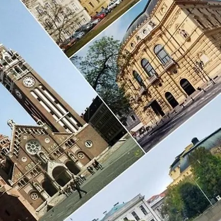 Fekete Forras Apartman *